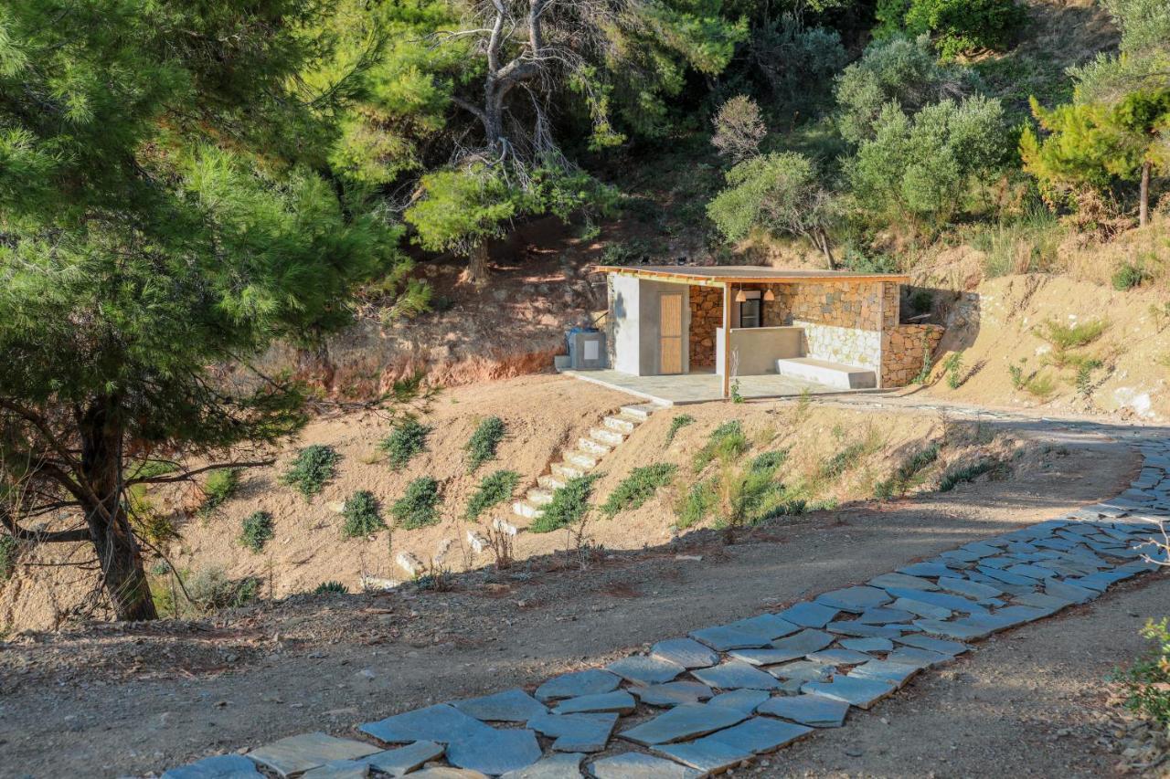 Thalasses Villas Skiathos Punta Екстер'єр фото