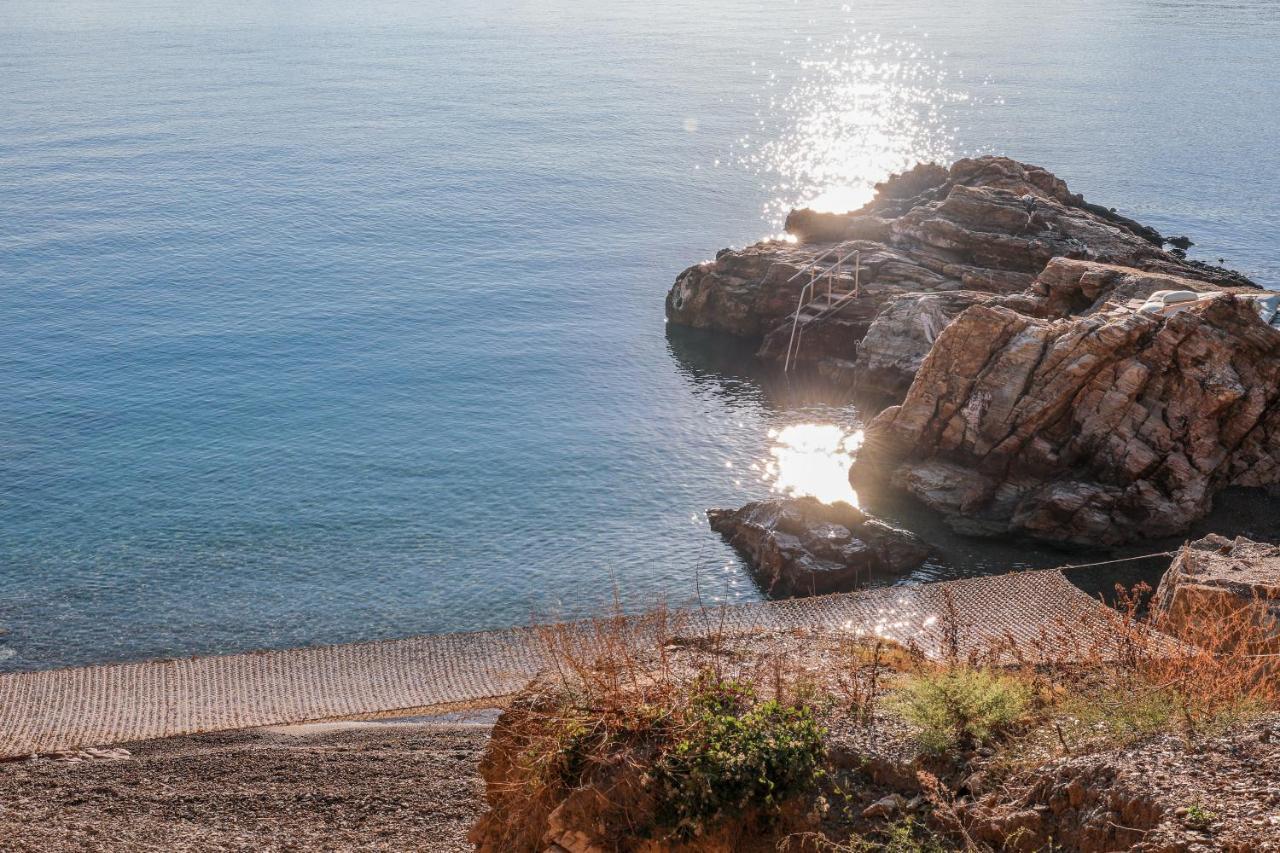 Thalasses Villas Skiathos Punta Екстер'єр фото