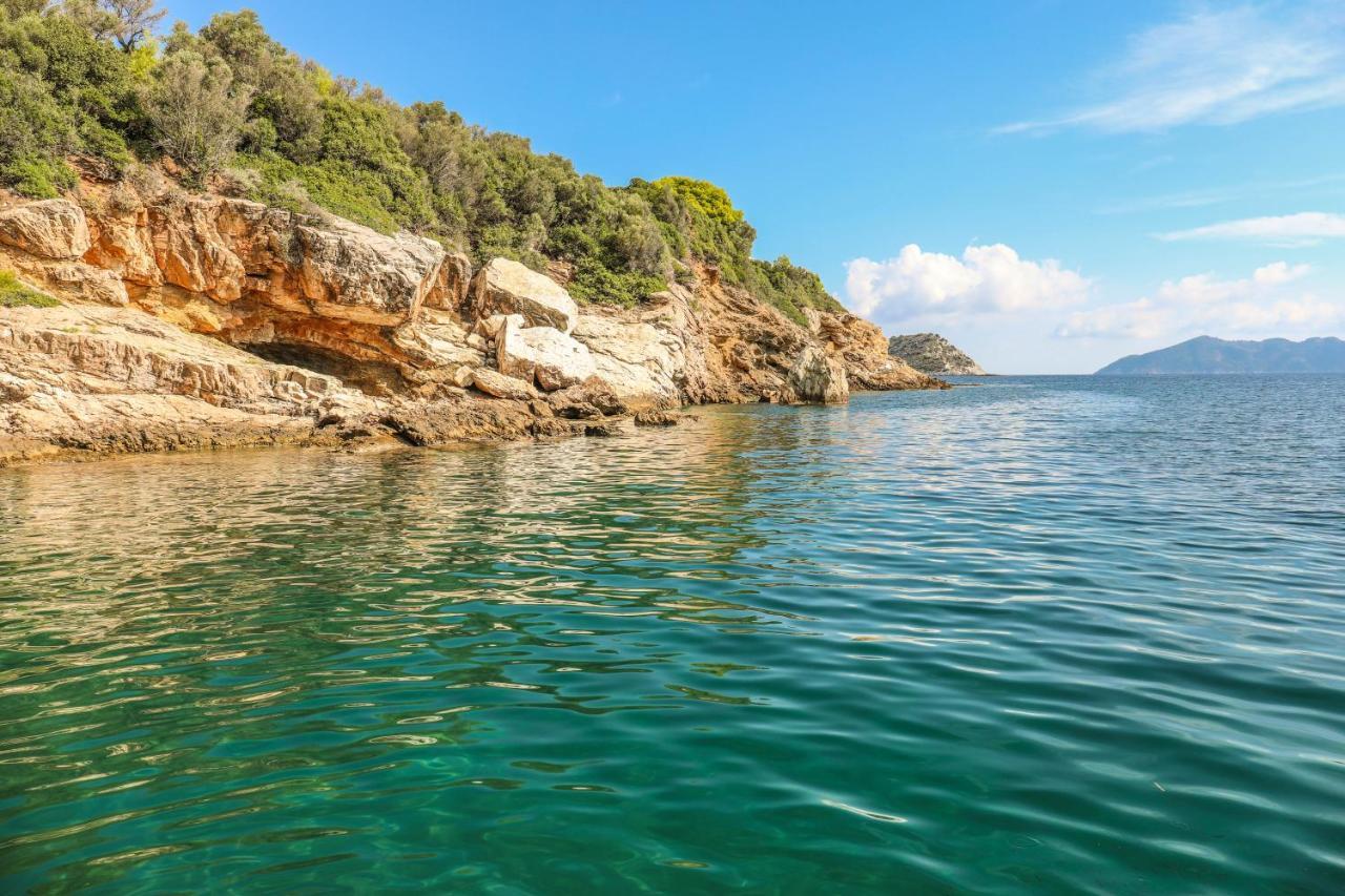 Thalasses Villas Skiathos Punta Екстер'єр фото